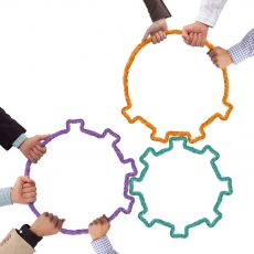 L'alliance du Codéveloppement et des constellations professionnelles
